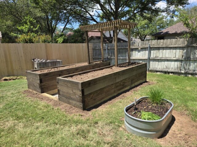 Suburban backyard with two parallel cedar raised garden beds connected with an arbor trellis.