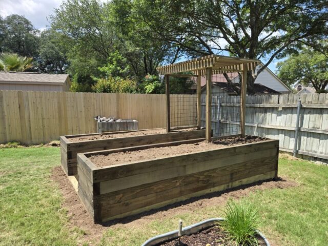 Another angle of two parallel cedar raised garden beds connected with an arbor trellis.