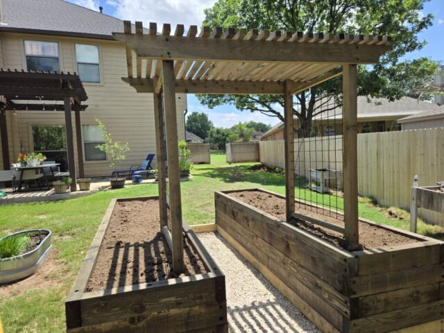 Another angle of two parallel cedar raised garden beds connected with an arbor trellis viewed from the back, low-side of the yard up close.