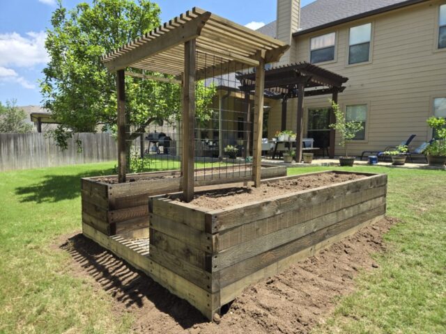 Another angle of two parallel cedar raised garden beds connected with an arbor trellis viewed from the back, low-side of the yard with house in the background.